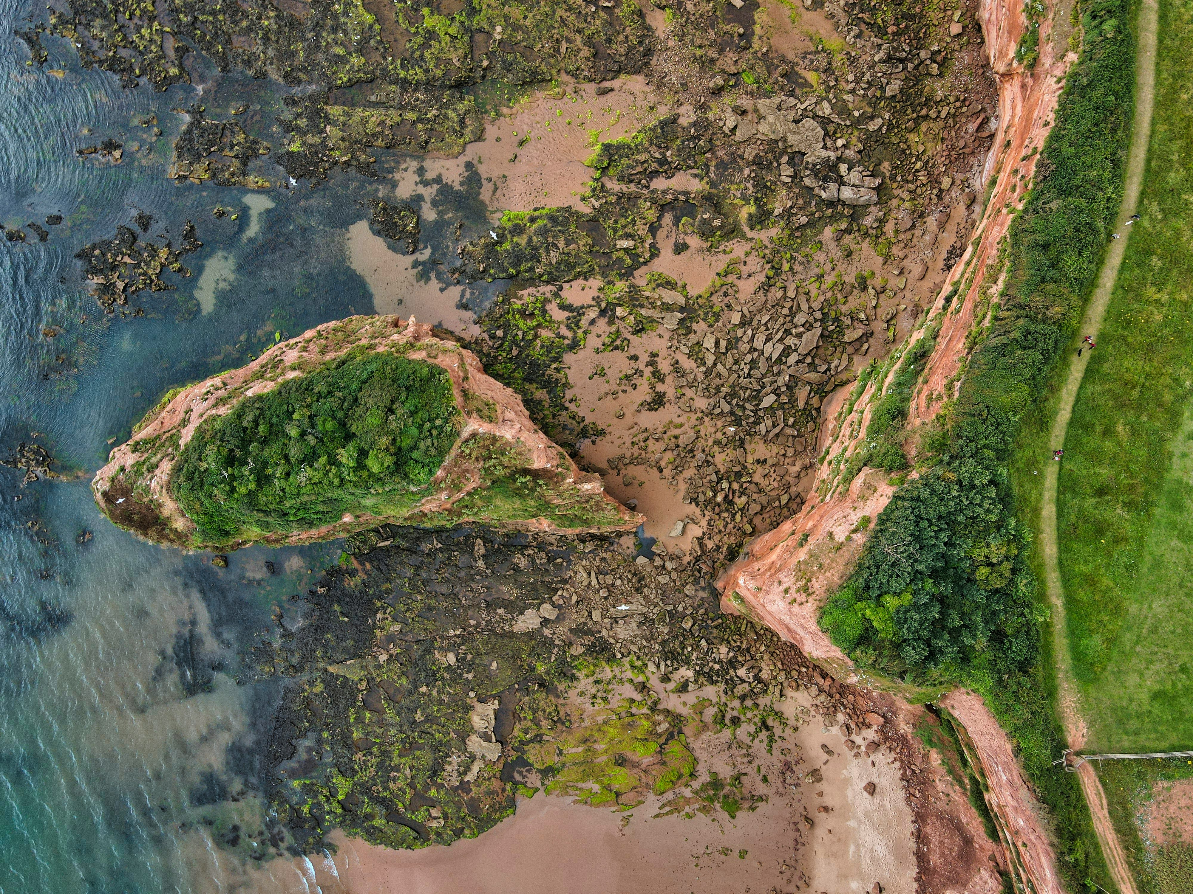 aerial view of green trees and brown field during daytime